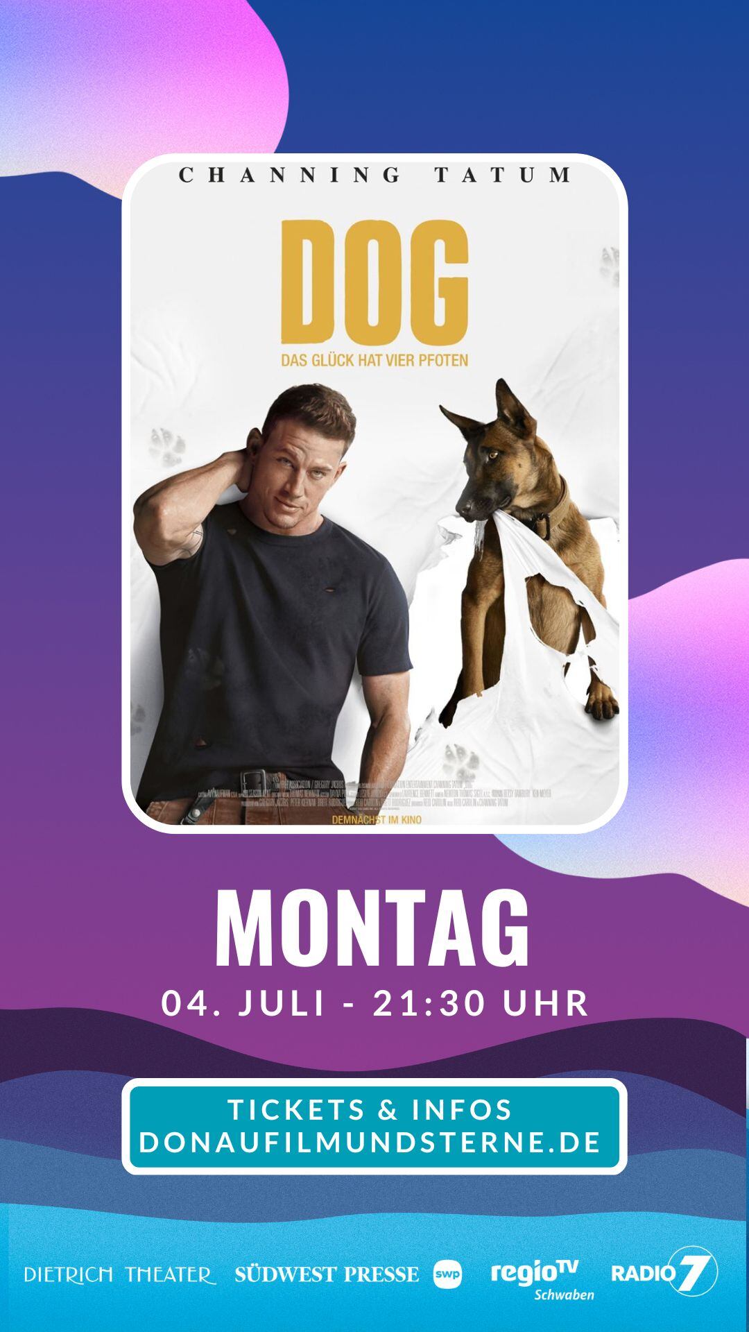 Donau, Film & Sterne Open Air Kino