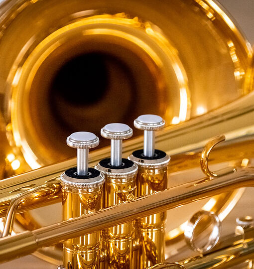 Blechfetz