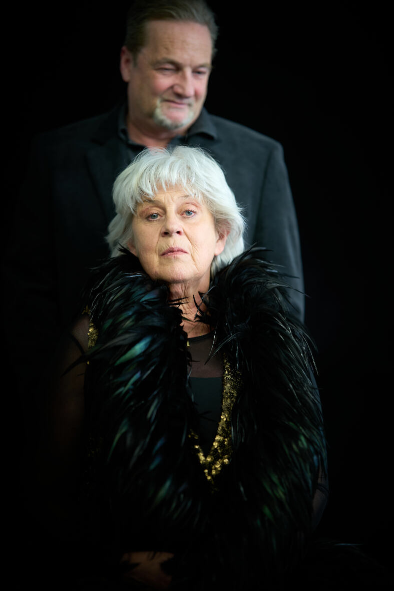 Der Besuch der alten Dame