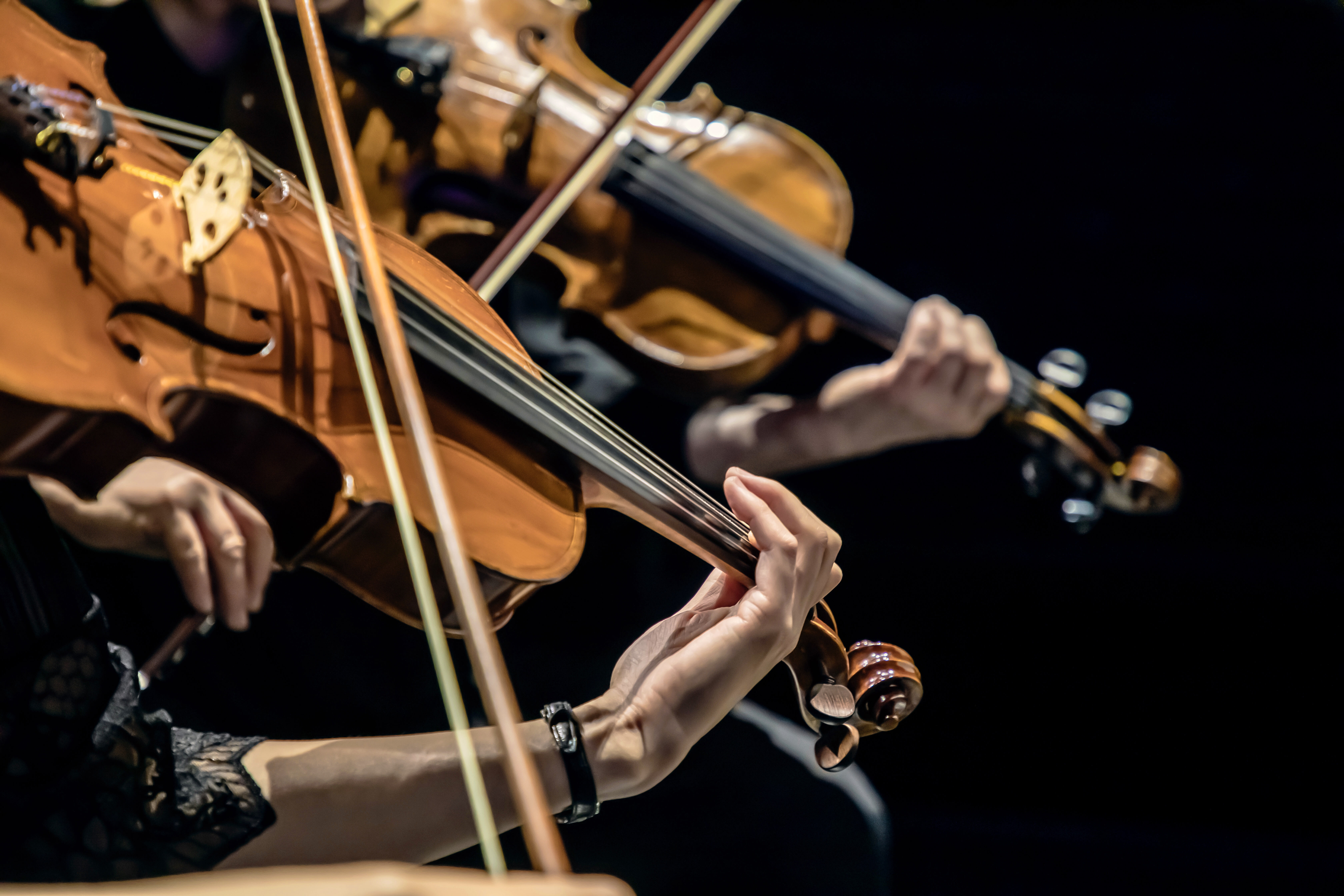 1. Philharmonisches Konzert 2025