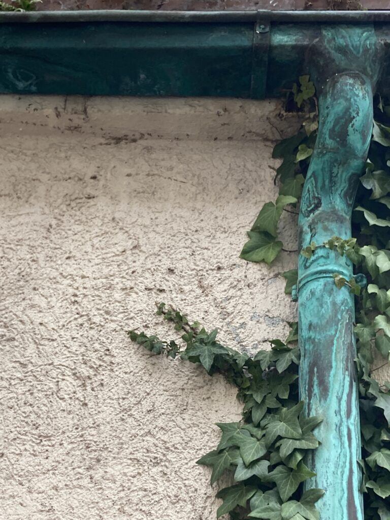 Fotosafari durch die Nachbarschaft