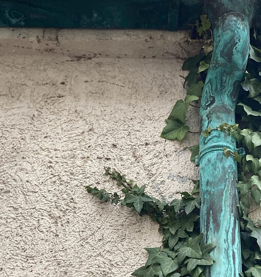 Fotosafari durch die Nachbarschaft