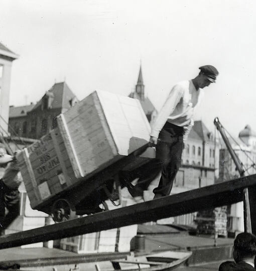 Häfen an der Donau  Geschichte, Architektur, Menschen