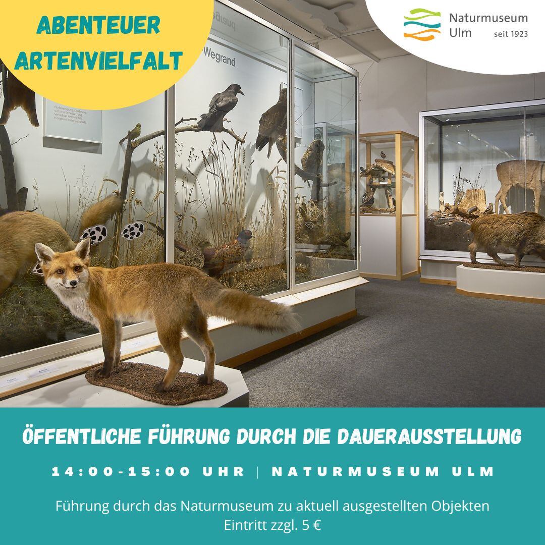 Öffentliche Führung durch die Dauerausstellung