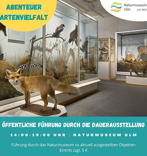 Öffentliche Führung durch die Dauerausstellung