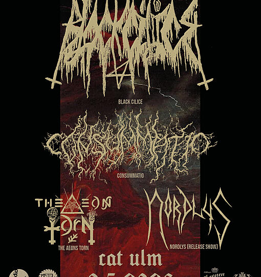 CATacombs Of Metal XXXVIII