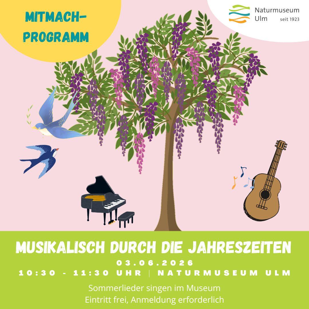 Musikalisch durch die Jahreszeiten - Sommer