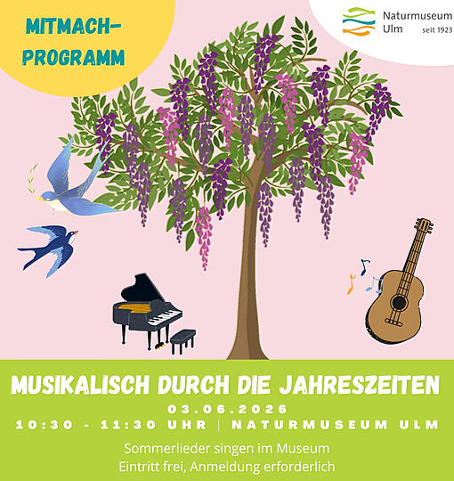 Musikalisch durch die Jahreszeiten - Sommer