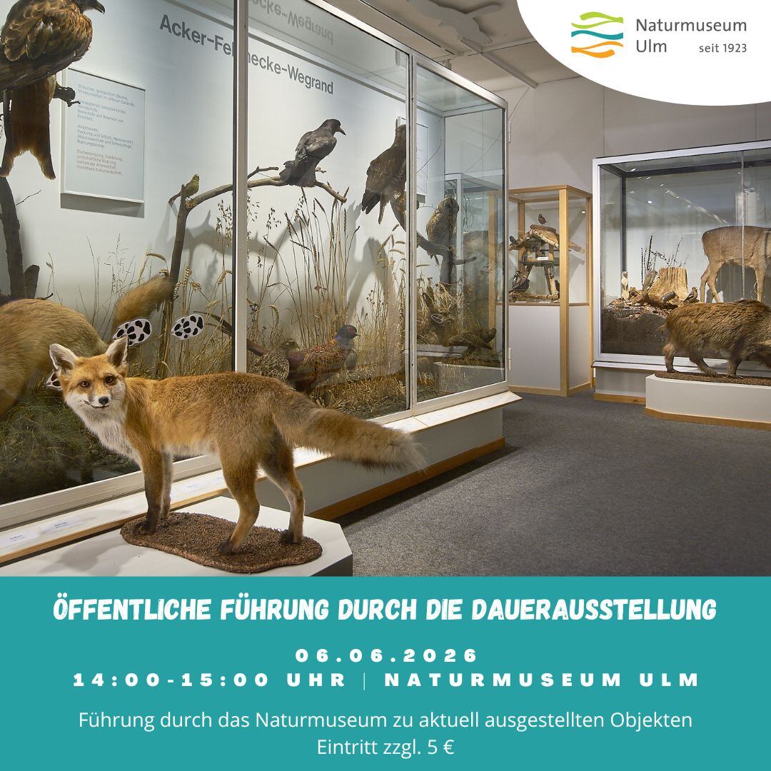 Öffentliche Führung durch die Dauerausstellung