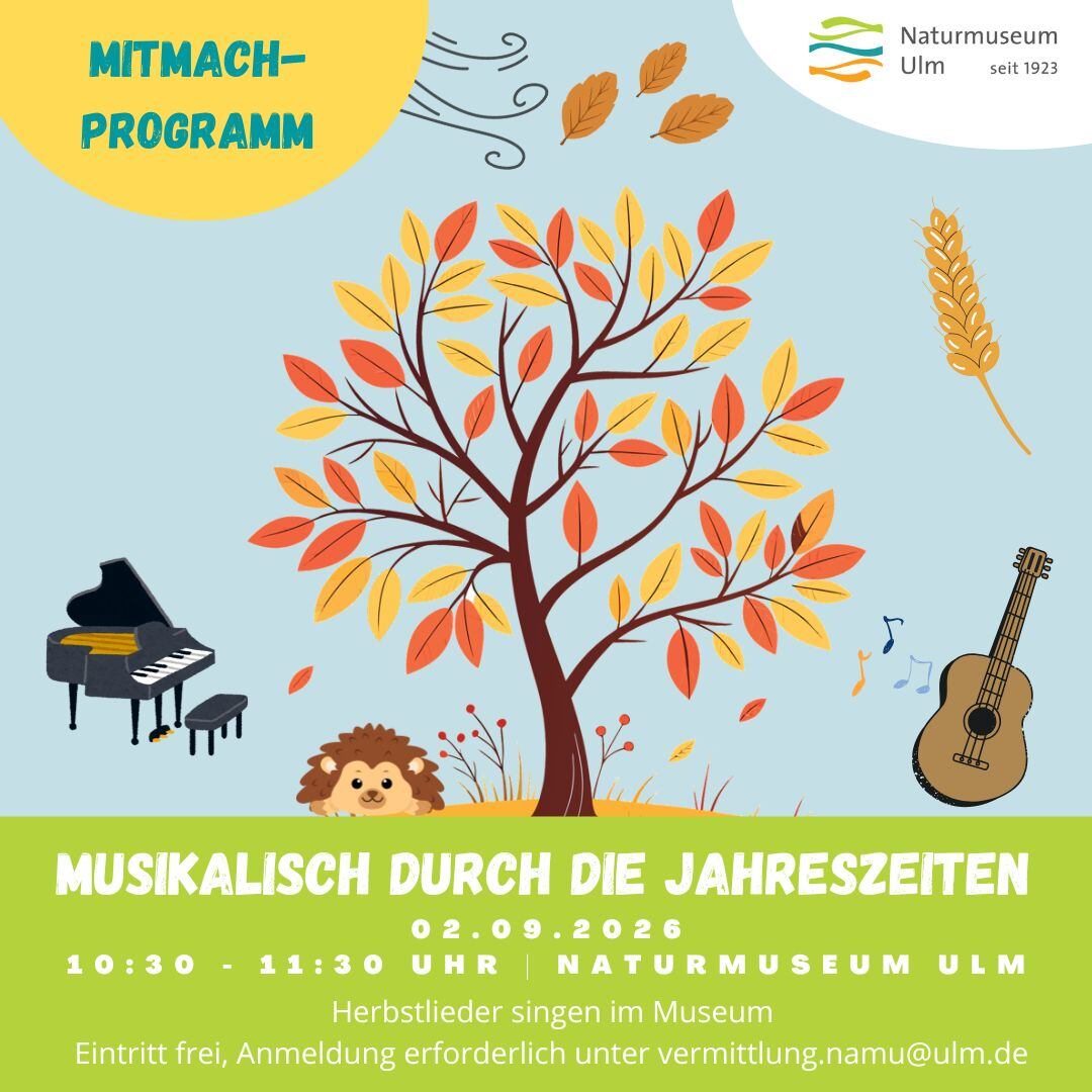 Musikalisch durch die Jahreszeiten