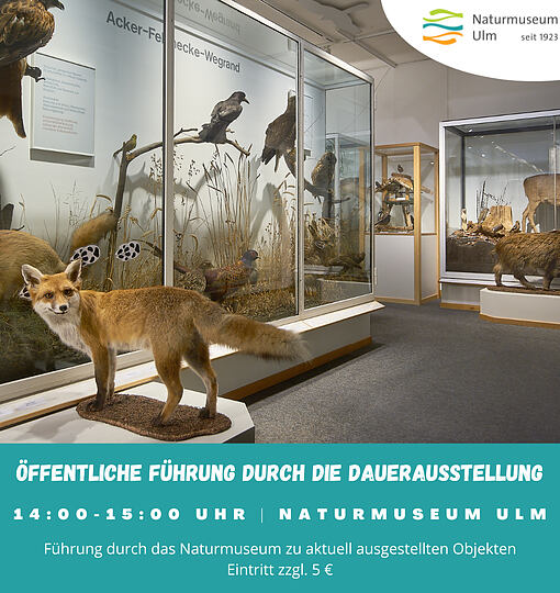 Öffentliche Führung durch die Dauerausstellung des Naturmuseums
