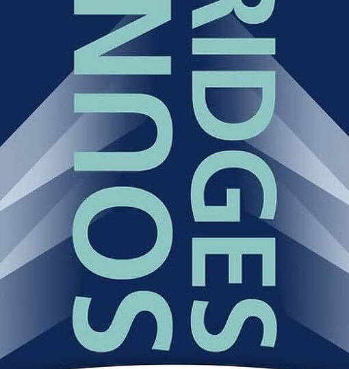 Sound Bridges 2025 – Wenn Musik Brücken schlägt 🎶🔥 Erlebt (…)
