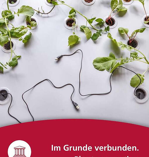 Ausstellung: Im Grunde verbunden. Plant connection 🔌🌱 Wusstest ihr, dass (…)