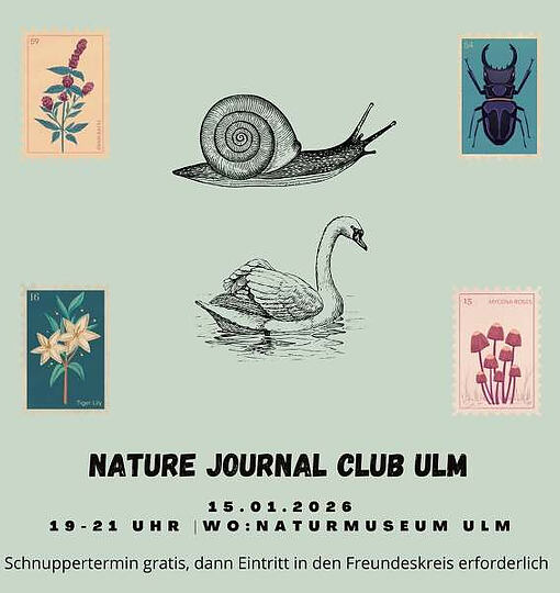 🚨Achtung, Zeichenfreunde aufgepasst!🚨 Unser nächster Nature Journal Club findet am (&hellip;)