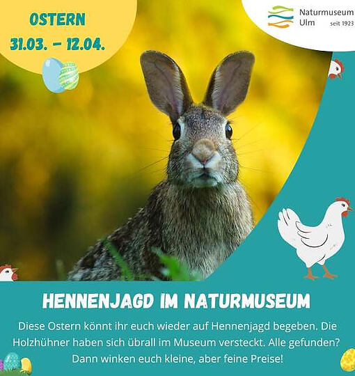 Ist das… ein Huhn auf dem Hauerelefanten? Über die Osterzeit (&hellip;)